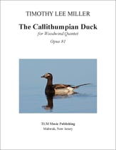 The Callithumpian Duck P.O.D. cover